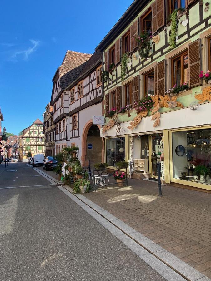 Ferienwohnung Tiers Lieu 59 Grand Rue Bouxwiller  Exterior foto